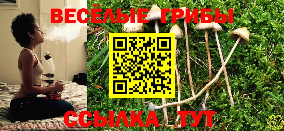 Псилоцибиновые грибы Psilocybe  Вход с VPN  Новомосковск  Галлюциногенные грибы Psilocybine cubensis 