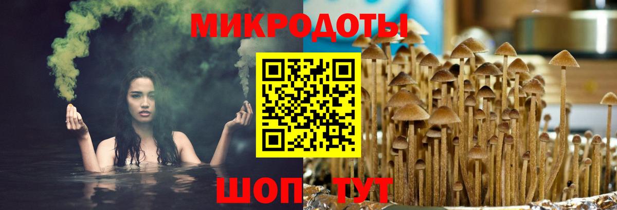 Псилоцибиновые грибы GOLDEN TEACHER Новомосковск
